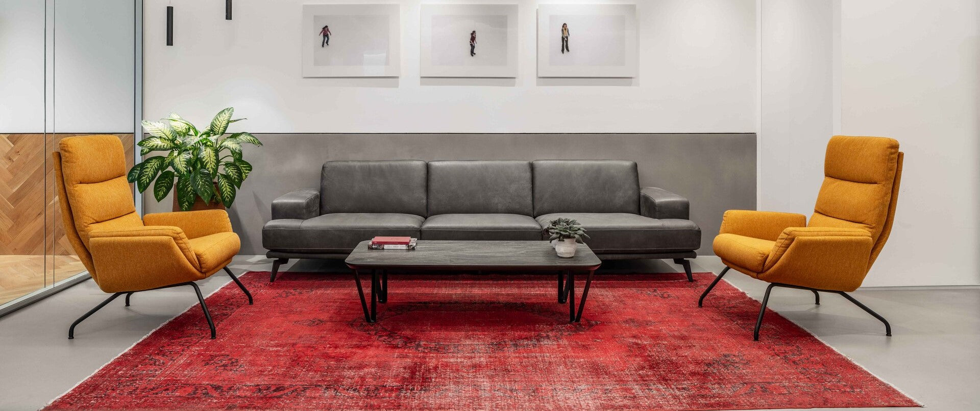 5 דברים מעניינים שלא ידעתם על שטיחים