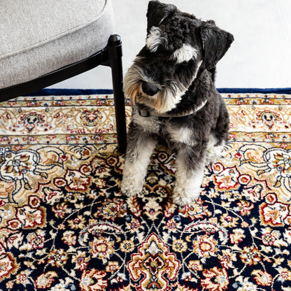 שטיח פלורה FLORA