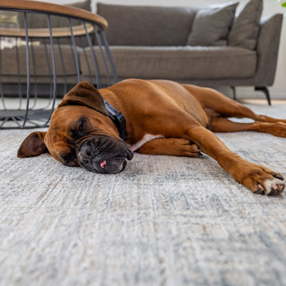 שטיח יסמין קרם JASMIN