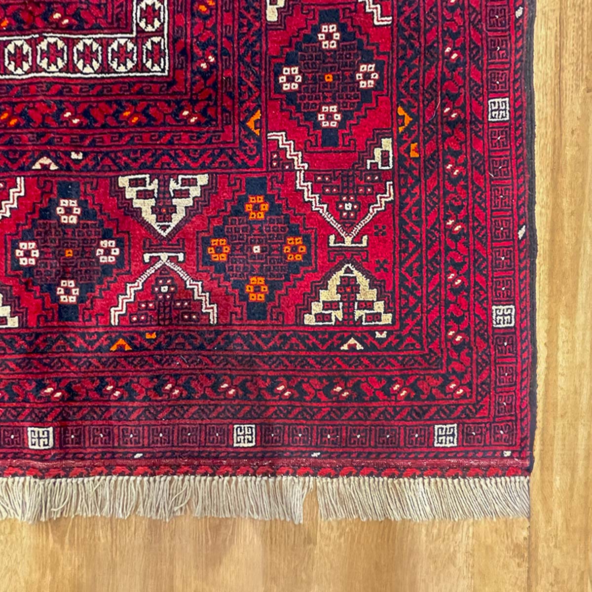 שטיח אשלו 00 אדום 243*167 ASHLO
