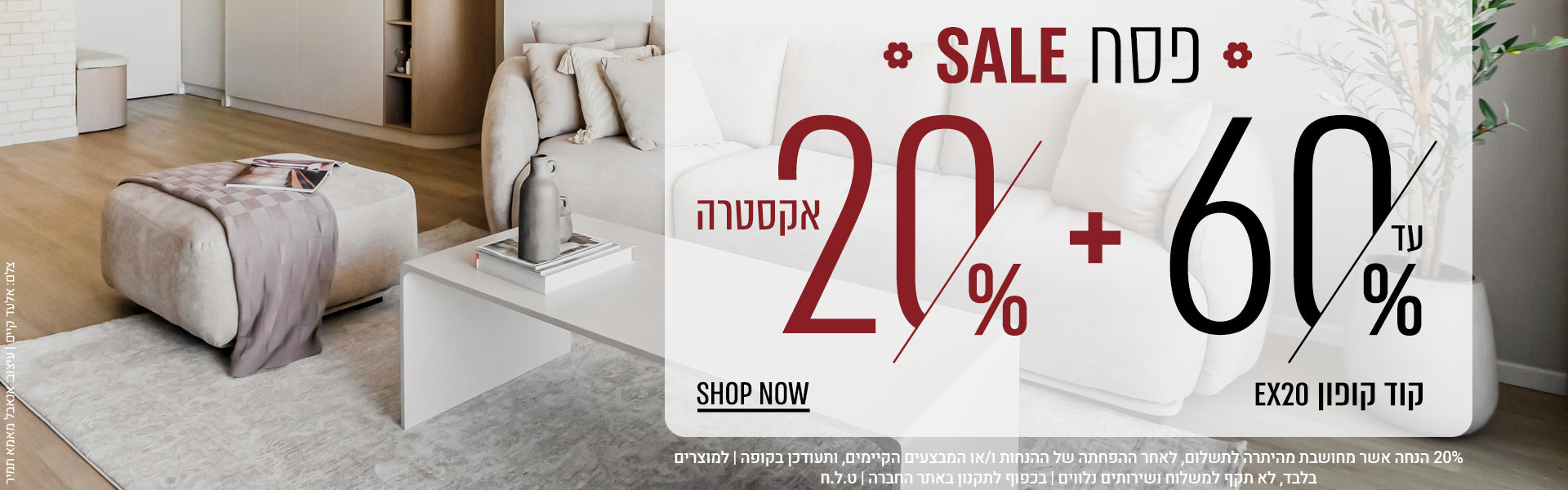 כותרת המותג