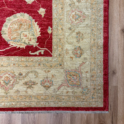 שטיח סופר זיגלר צבעוני 359*266 SUPER ZIGLER