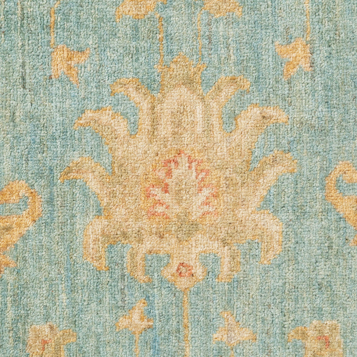 שטיח זיגלר קרם/תכלת 234*170 ZIGLER