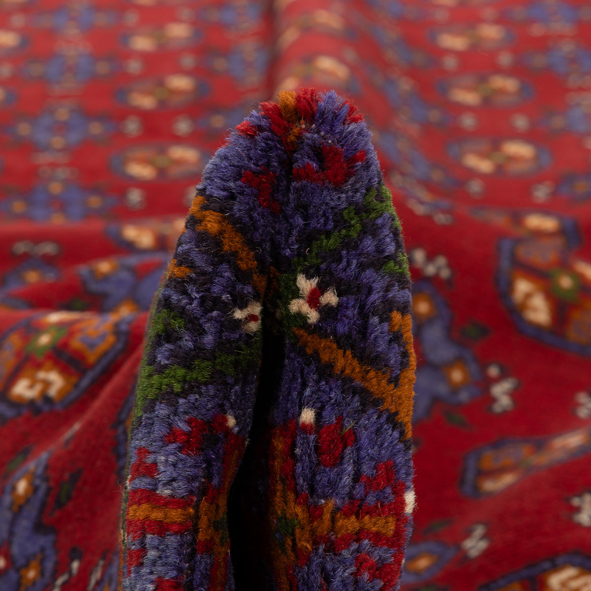 שטיח אחצ׳ה - קאבול צבעוני 238*170 KABUL