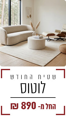 Promo Banner