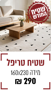 Promo Banner