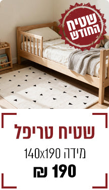 Promo Banner