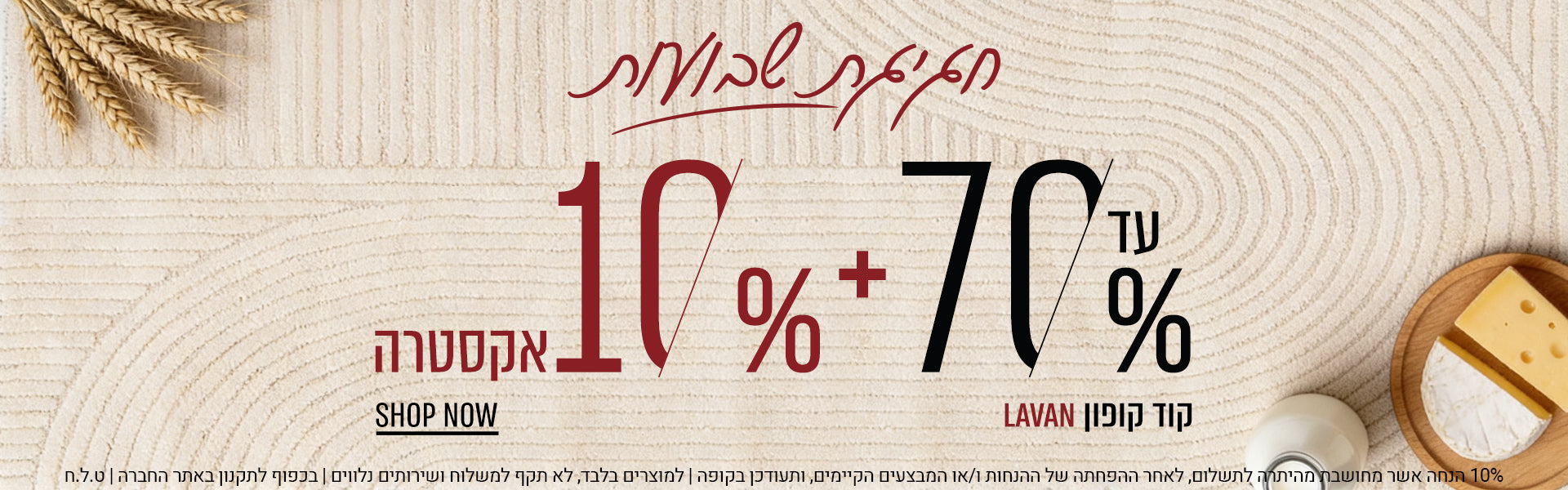 כותרת המותג