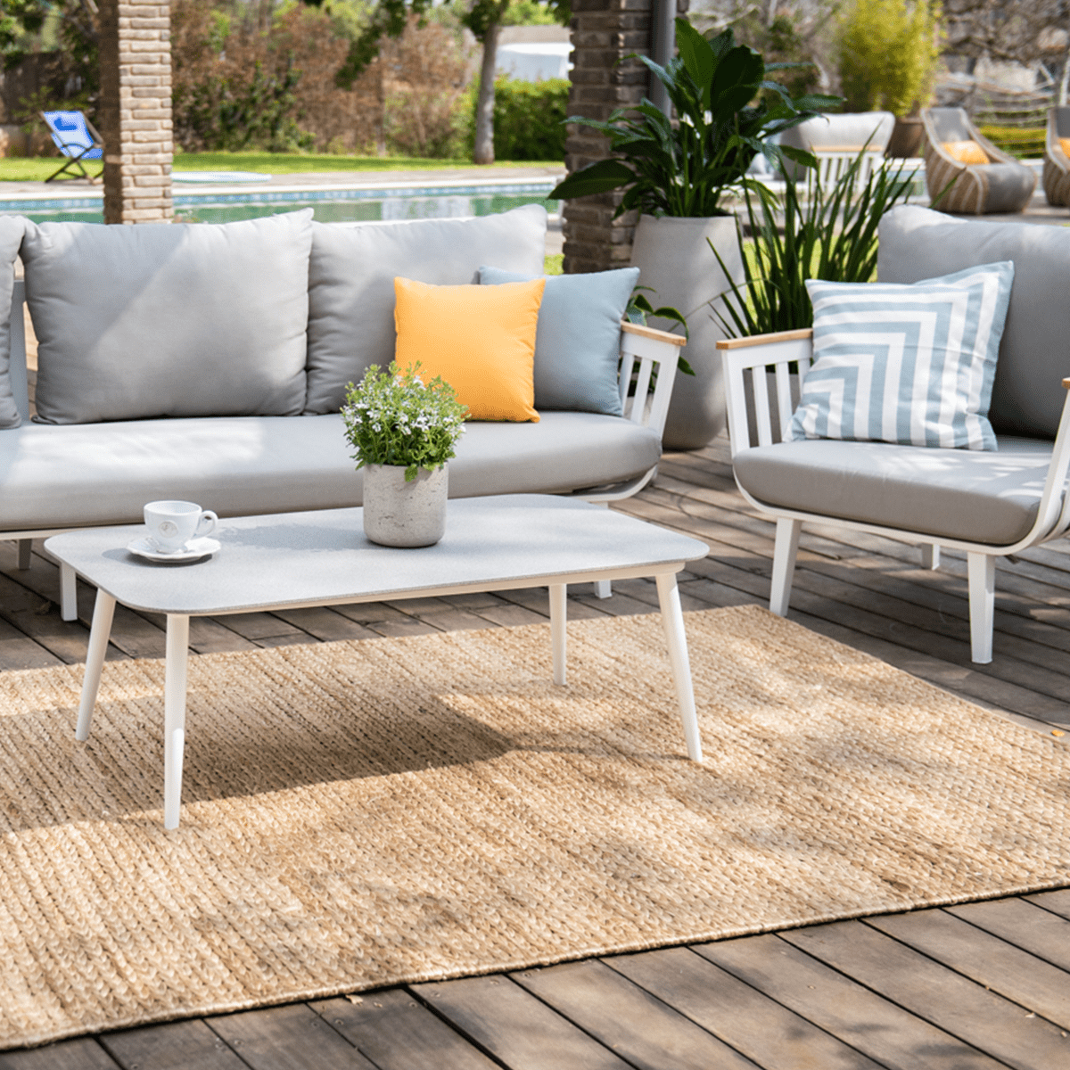 תמונה בגלריה