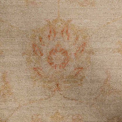 שטיח זיגלר צבעוני 240*173 ZIGLER