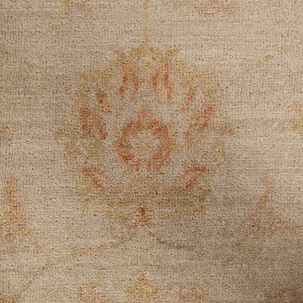 שטיח זיגלר צבעוני 240*173 ZIGLER