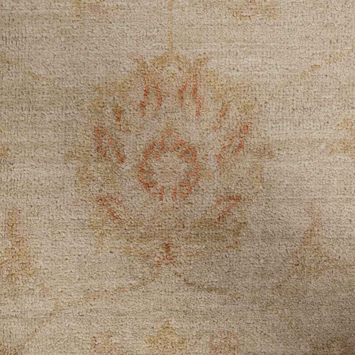 שטיח זיגלר צבעוני 240*173 ZIGLER