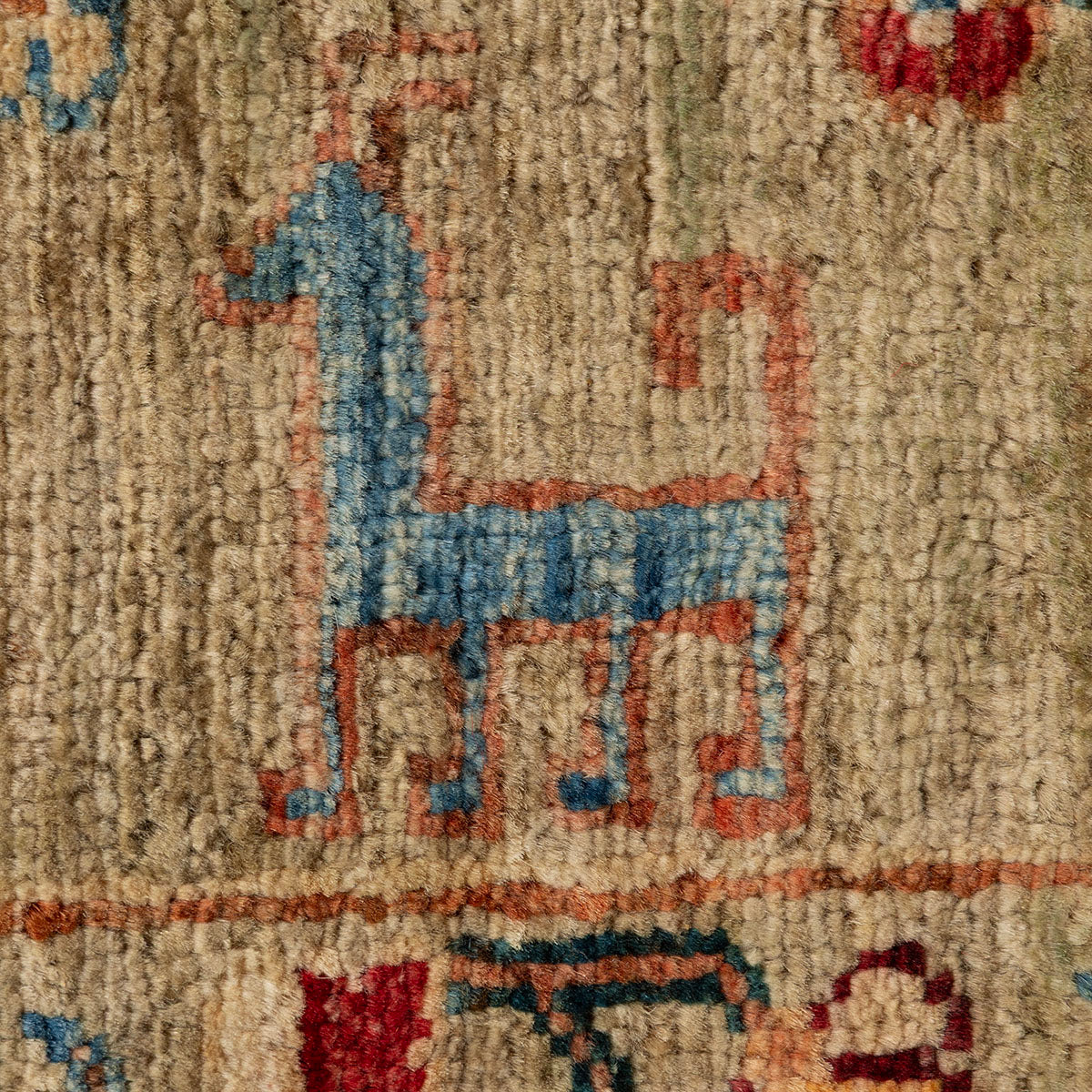 שטיח אריאנה -  ארזו צבעוני 243*175 AREZU