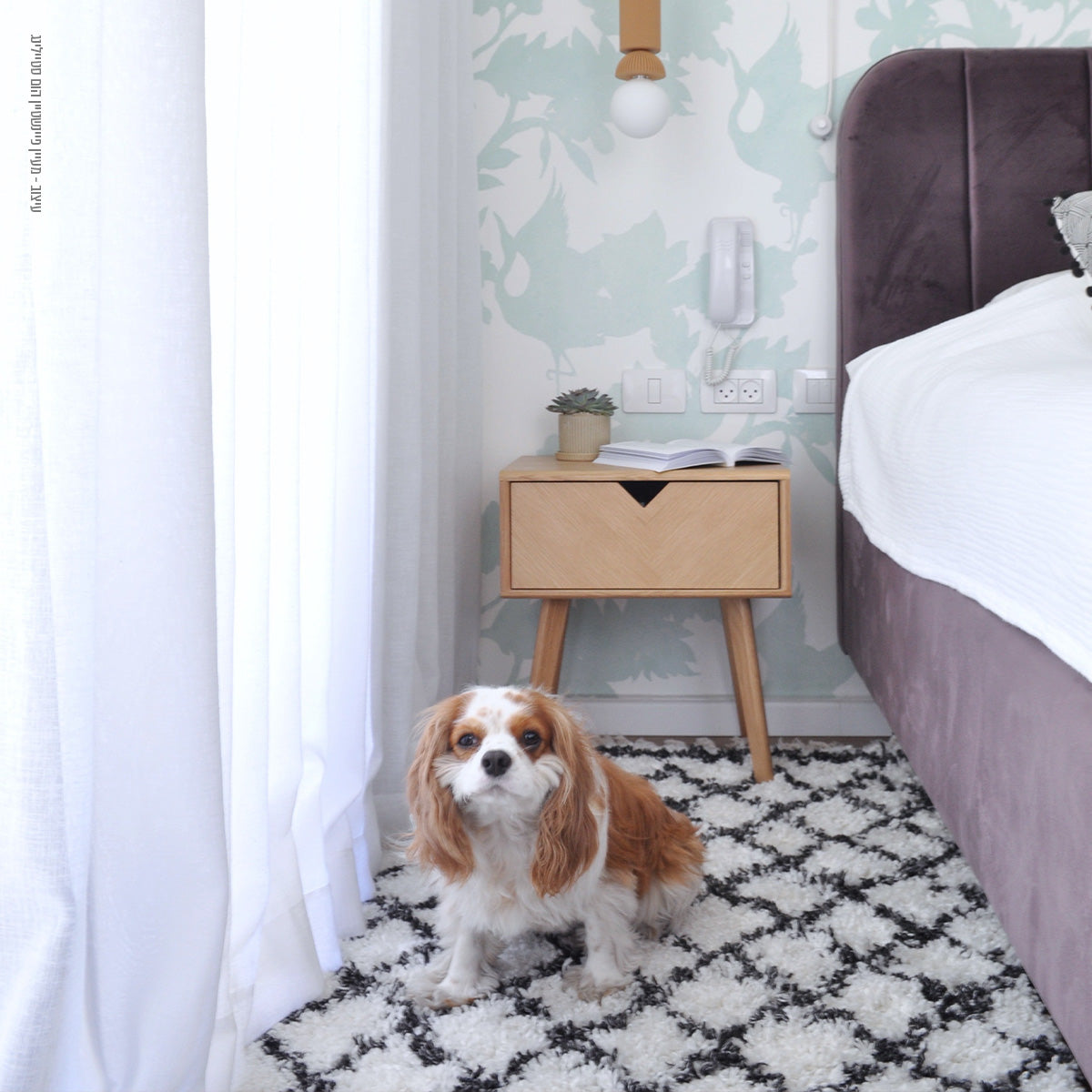 שטיח ברבר מרוקאי 02 לבן/שחור עם פרנזים BERBER