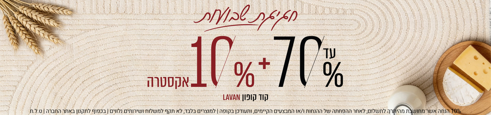 כל השטיחים שבעולם banner desktop