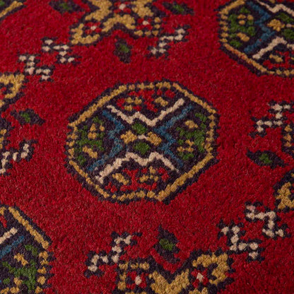 שטיח קאבול צבעוני 290*204 KABUL