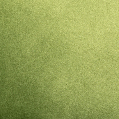 כרית גונגל קטיפה 04 ירוק