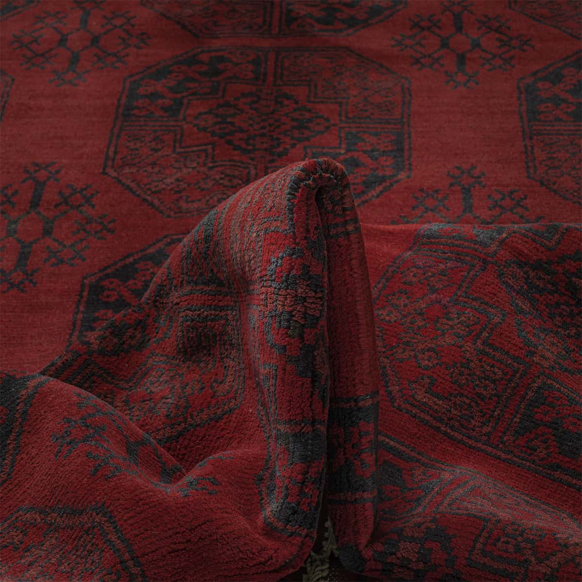  רגל פיל 00 אדום 204x296 | השטיח האדום 