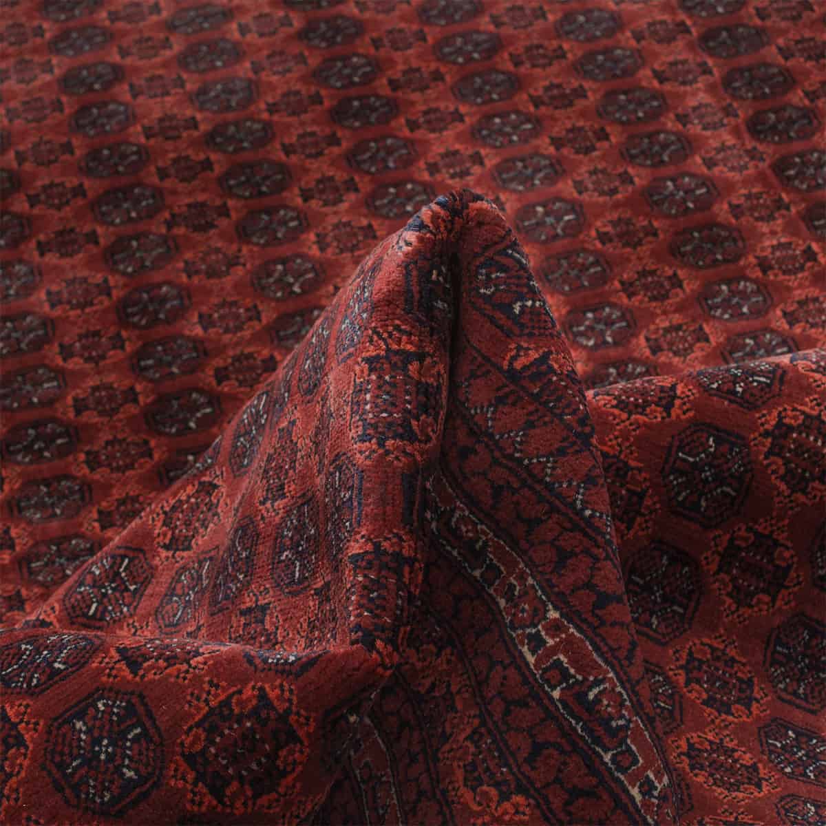  אפגני באשיר 00 אדום 197x286 | השטיח האדום 