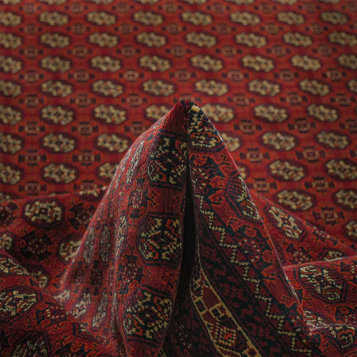  אפגני באשיר 00 אדום 197x292 | השטיח האדום 