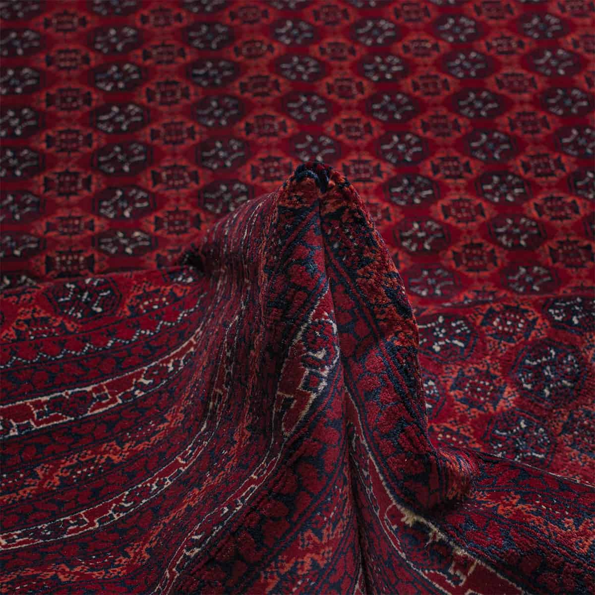  אפגני באשיר 00 אדום 249x343 | השטיח האדום 