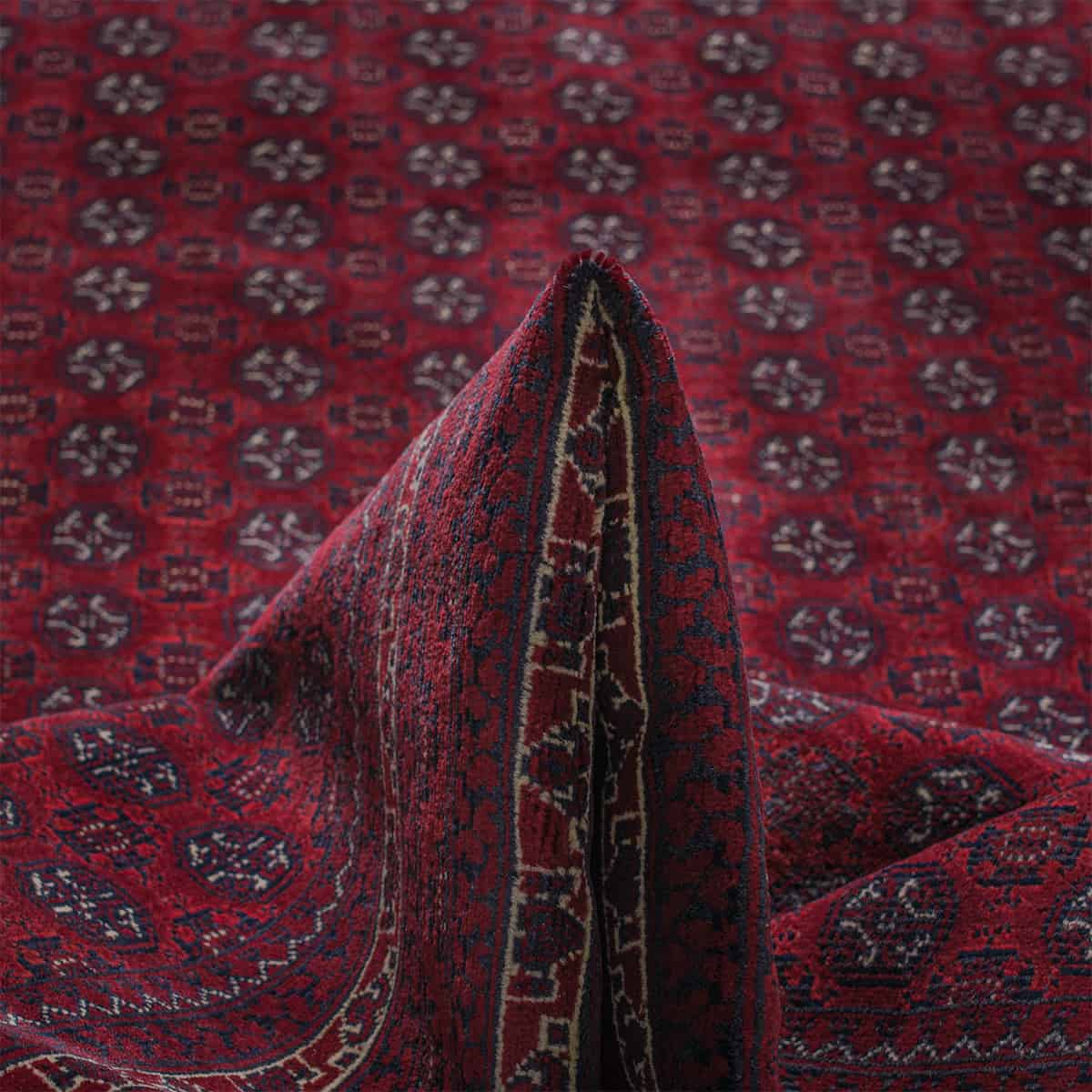  אפגני באשיר 00 אדום 196x290 | השטיח האדום 