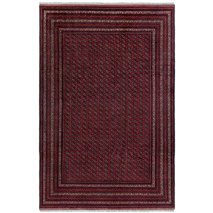  אפגני באשיר 00 אדום 200x299 | השטיח האדום 