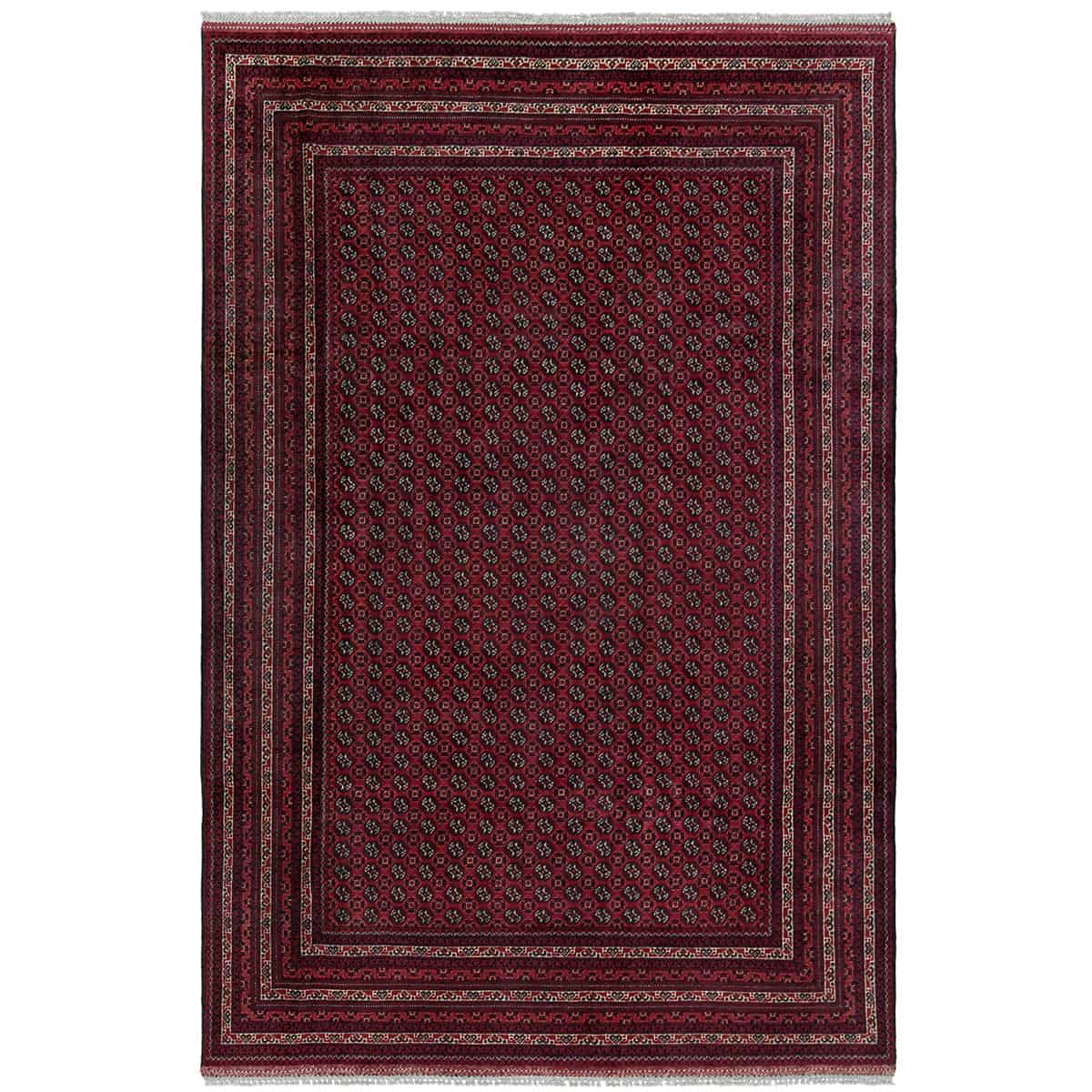  אפגני באשיר 00 אדום 200x299 | השטיח האדום 