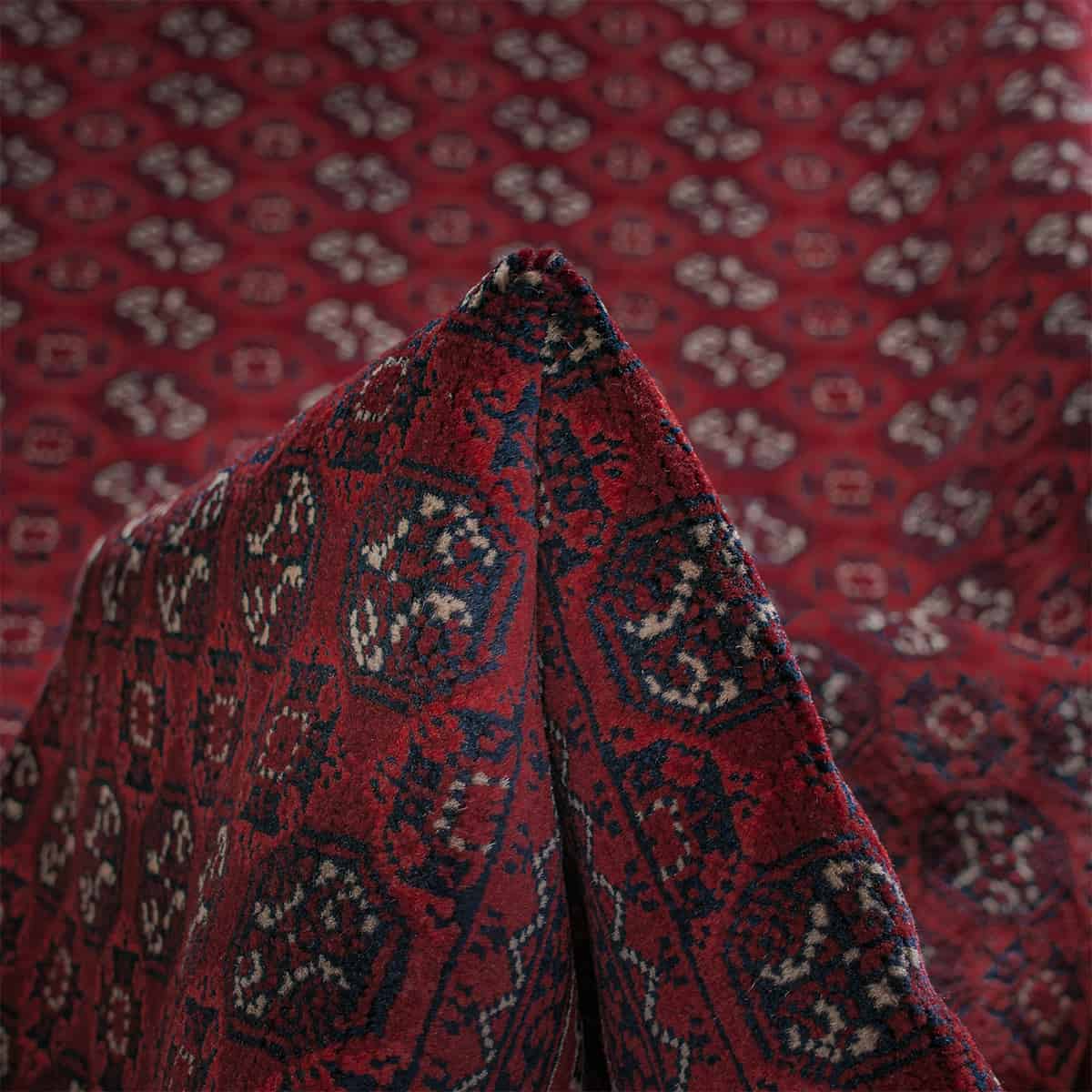  אפגני באשיר 00 אדום 200x299 | השטיח האדום 