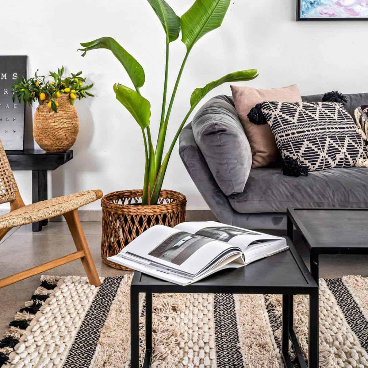 שטיח גפן כותנה 09 קרם/בז'/שחור עם פרנזים | השטיח האדום | עיצוב: מור ורד, צילום: מאור מויאל 