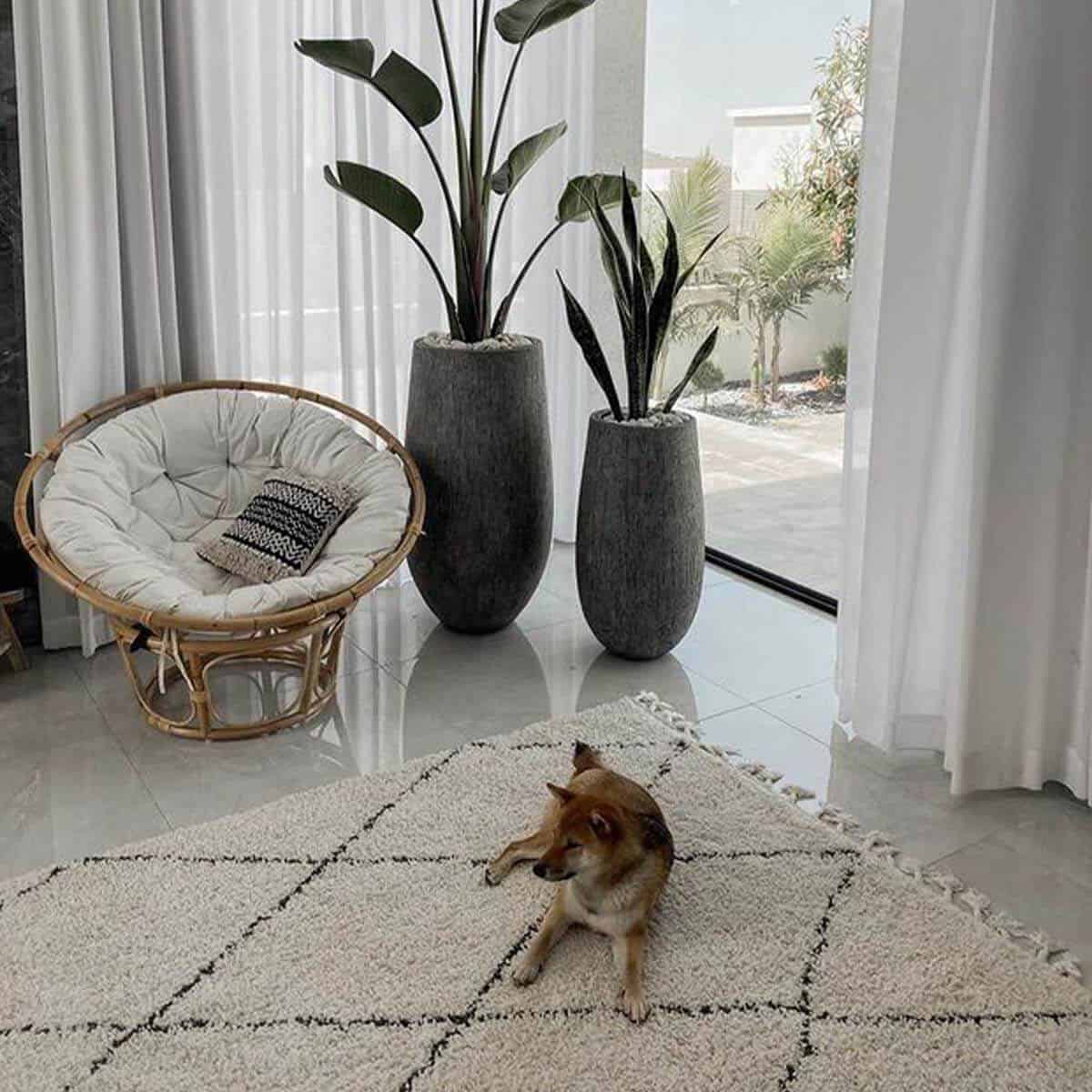 שטיח שאגי מרקש 02 קרם/שחור עם פרנזים | השטיח האדום | עיצוב: מאנה מעצבות פנים, צילום: מאנה מעצבות פנים 