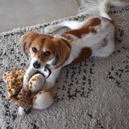 שטיח שאגי מרקש 01 קרם/שחור עם פרנזים | השטיח האדום | עיצוב: Home with Luca, צילום: Home with Luca